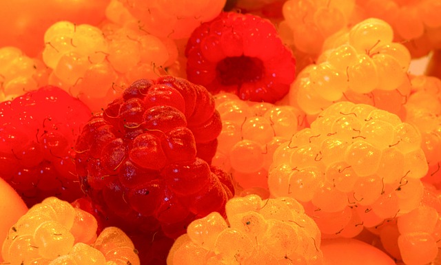 球衣的设计 球衣的设计