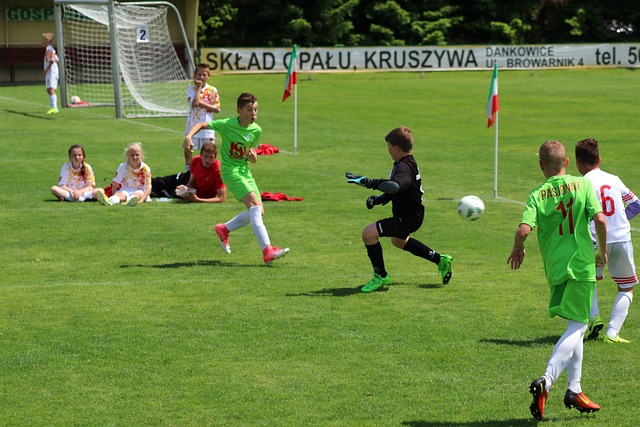 樣化的比賽 樣化的比賽