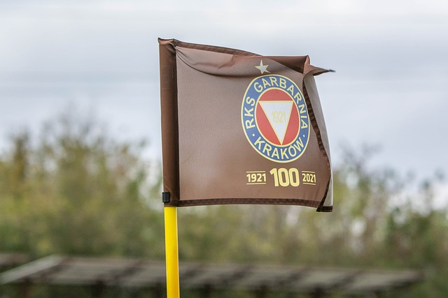 伍而言都是 伍而言都是