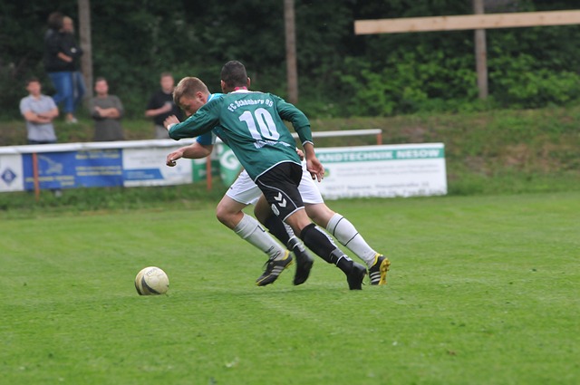 合作在国际 合作在国际