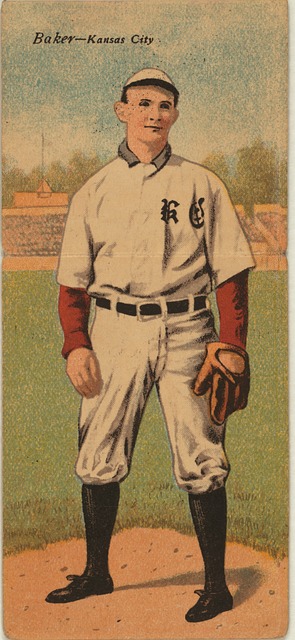 处亚热带 处亚热带