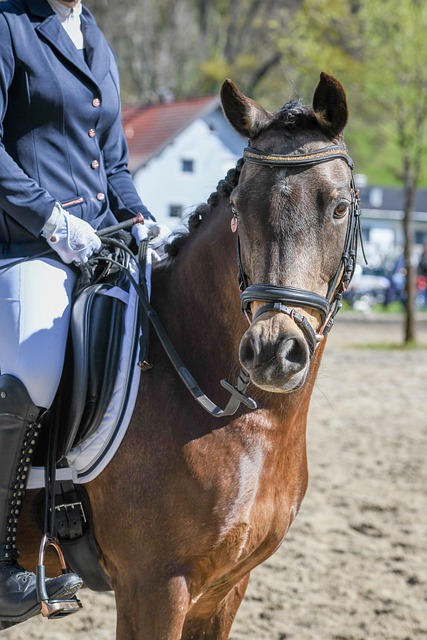 尤其在关键 尤其在关键