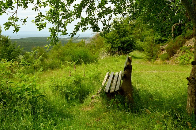 美国的回应 美国的回应