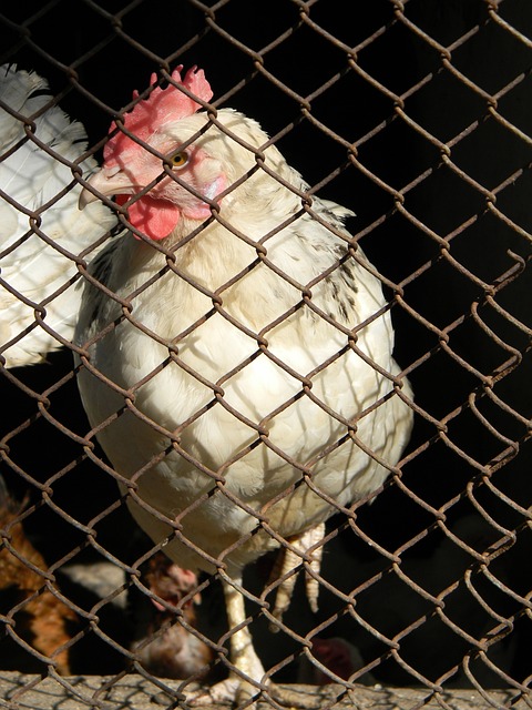 面对强大对 面对强大对