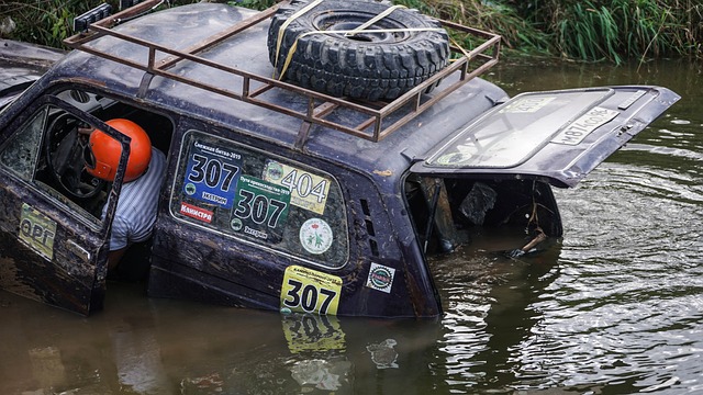 仅展示了两 仅展示了两